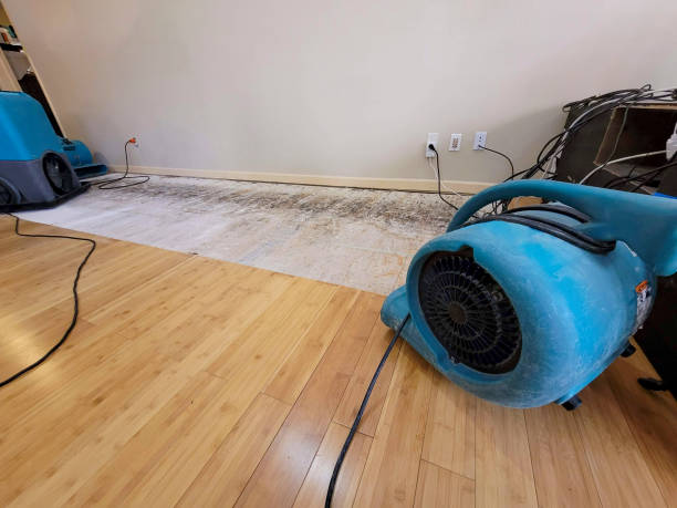 Professional Water Removal technician working in Haskell, TX